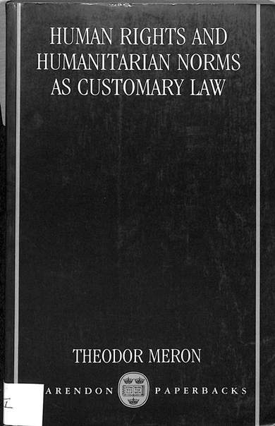 Human rights and humanitarian norms as customary law