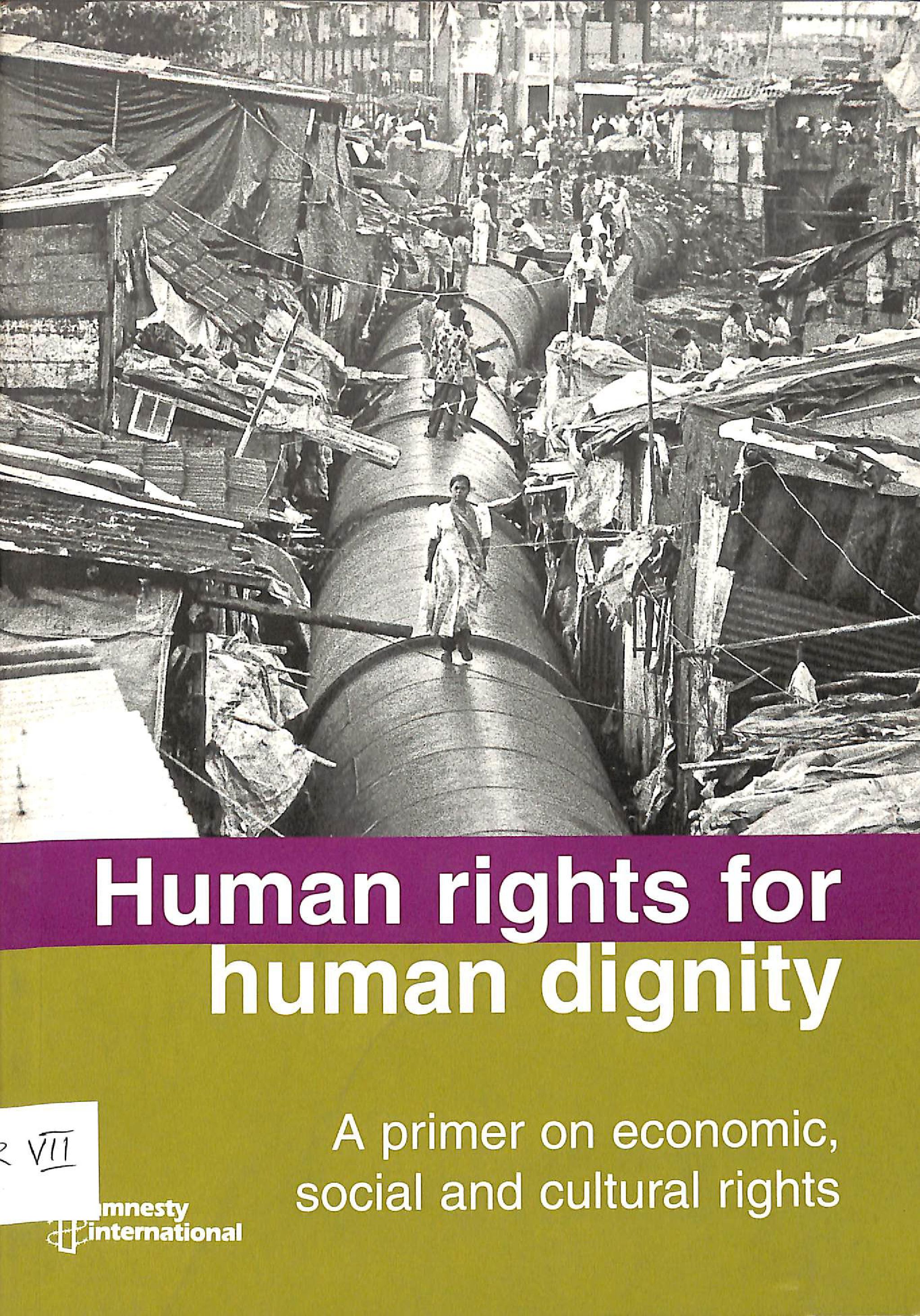 Human rights for human dignity: a primer on economic social and cultural rights 