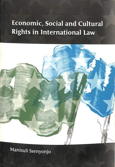 Economic, social and cultural rights in international law