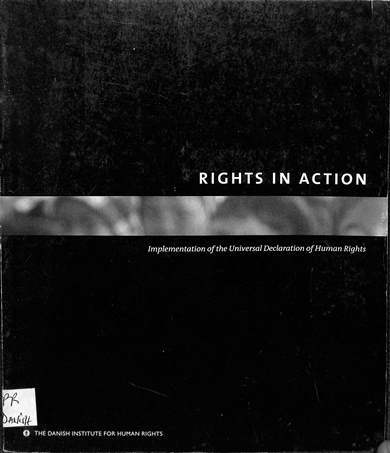 Rights in action: Implementation of the universal declaration of human rights