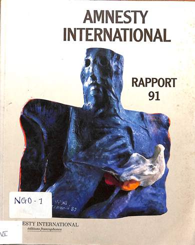 Amnesty International rapport 91