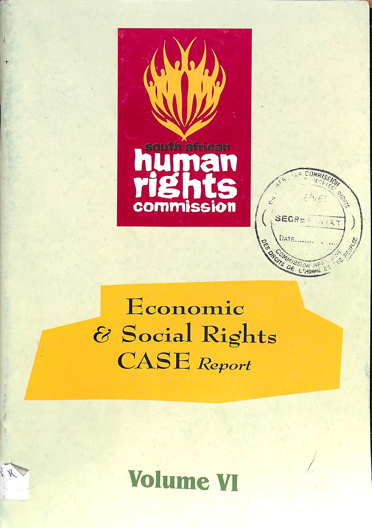 Economic and social rights case report : Volume VI