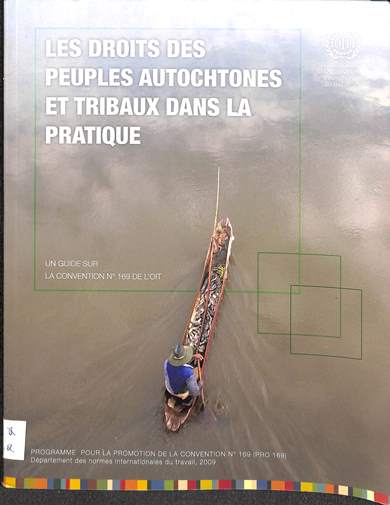 Les droits des peuples autochtones et tribaux dans la pratique