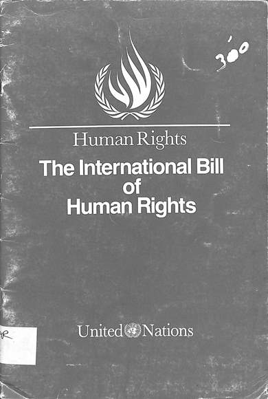 Human rights: The international bill of human rights