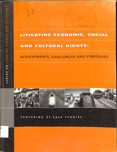 Litigating economic and social rights in Africa