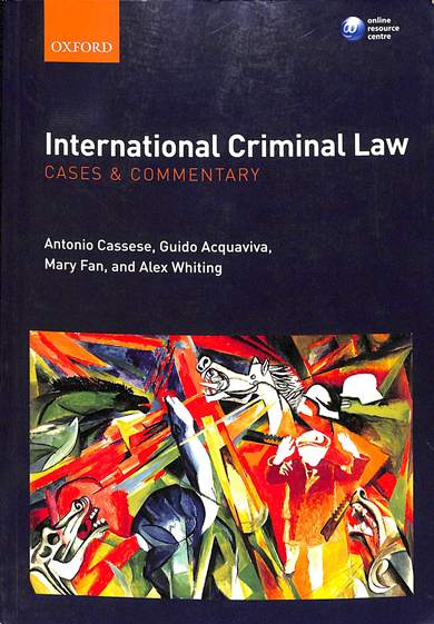 International criminal law : cases and commentary