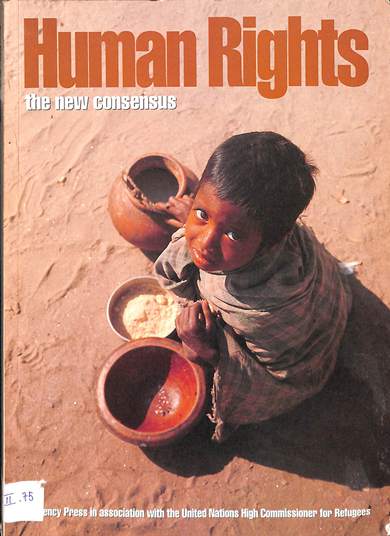 Human rights: The new consensus