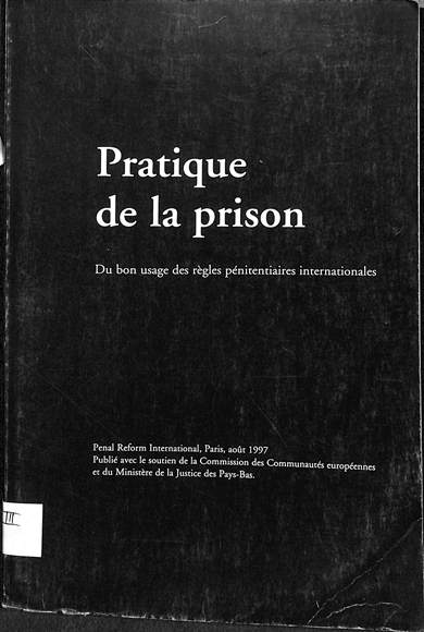 Pratique de la prison : Du bon usage des regles penitentiaires internationales